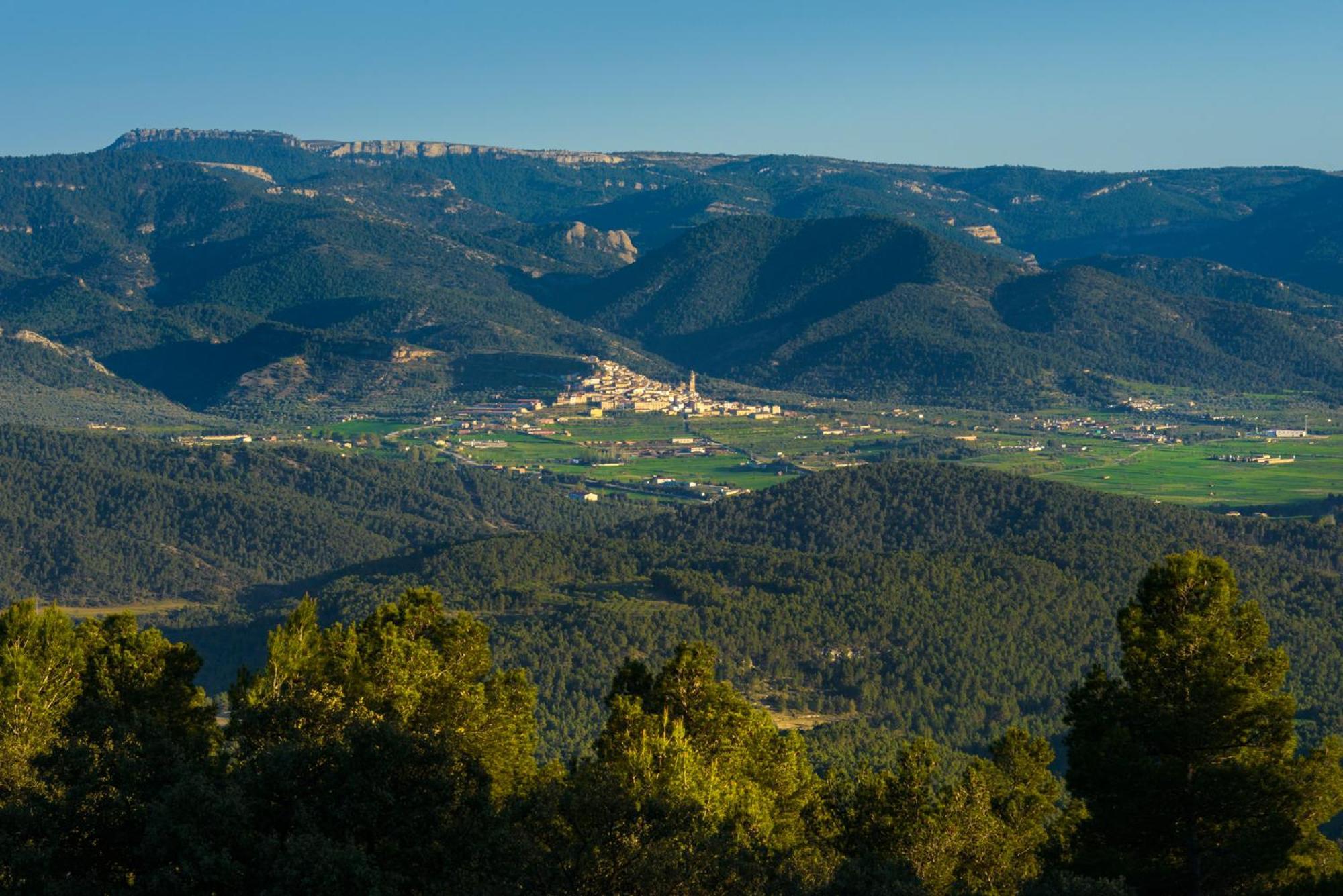 Torre Del Marques Hotel Spa & Winery - Small Luxury Hotels Monroyo Eksteriør billede